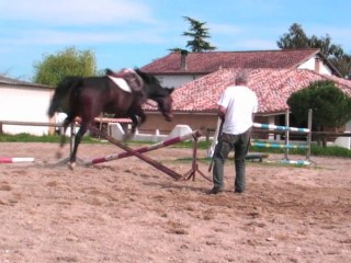 la longe pour l'obstacle