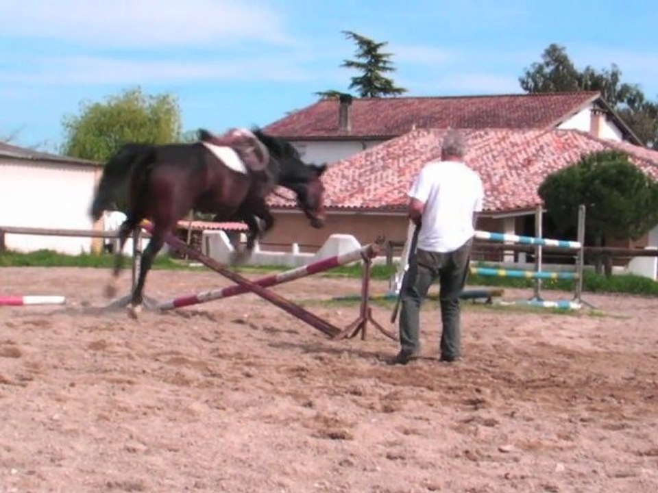 la longe pour l'obstacle