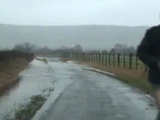 Suite tempête Joachim en Meuse
