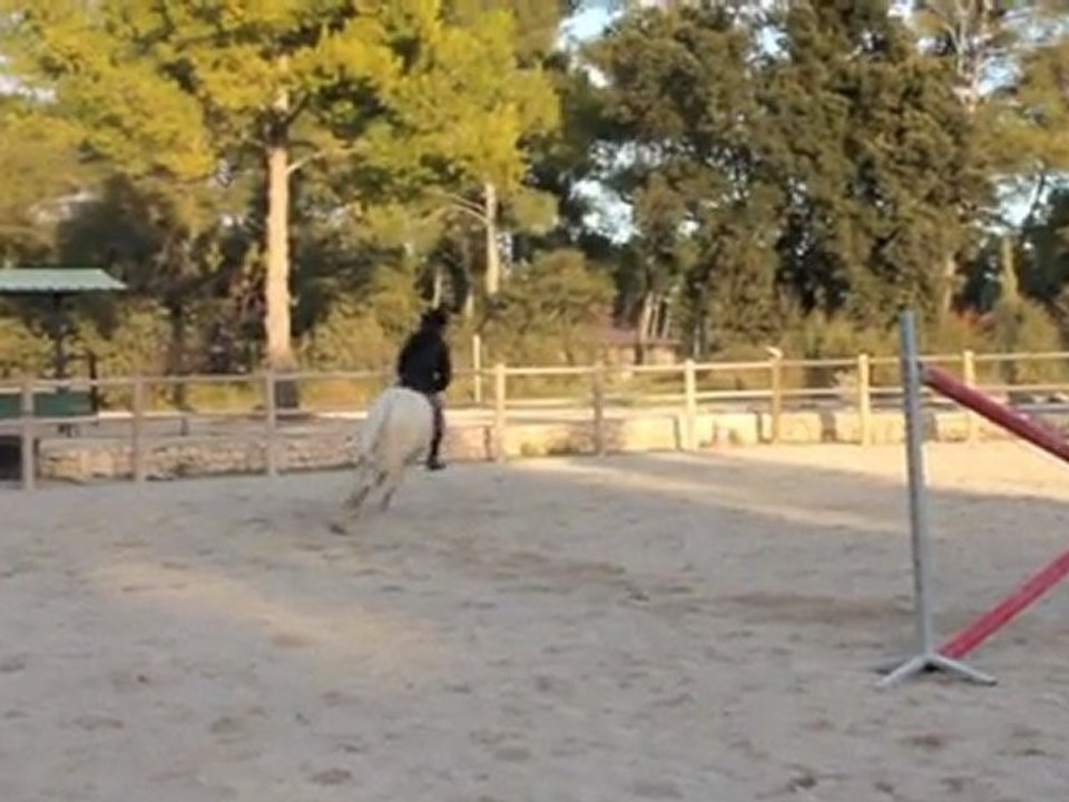 rumba
