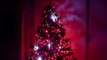 Mon sapin de Noël / Christmas tree