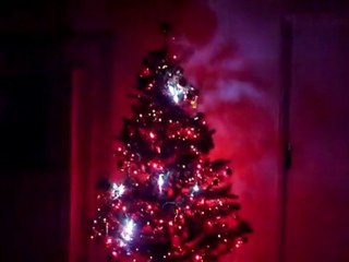 Mon sapin de Noël / Christmas tree