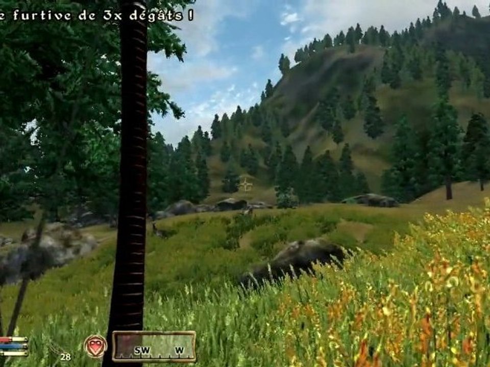 Oblivion - Partie 8 - Balade, Bouseux, Bug, et Mec flippant