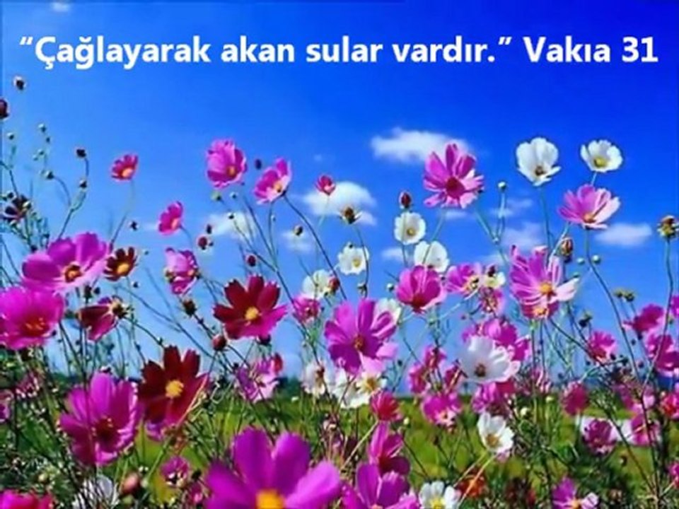 Güzel Çalışma AYET ve HADİS IŞIĞINDA CENNET