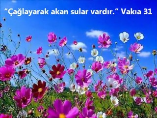 Güzel Çalışma AYET ve HADİS IŞIĞINDA CENNET