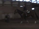 6 avril 2011 Baril Trot et galop