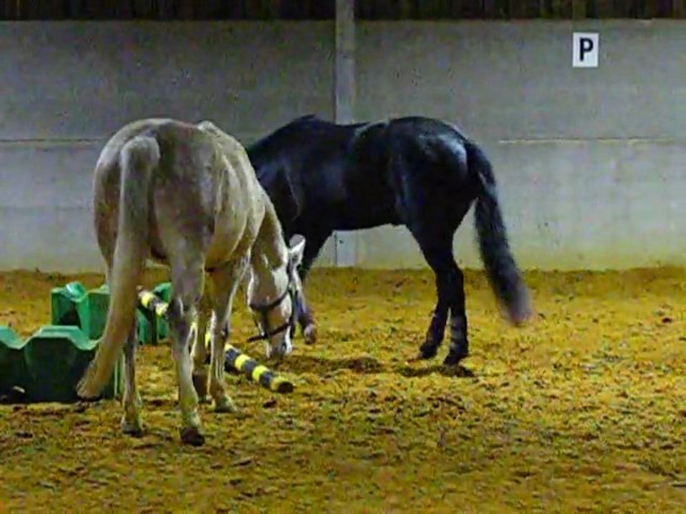 ulys et l'obstacle
