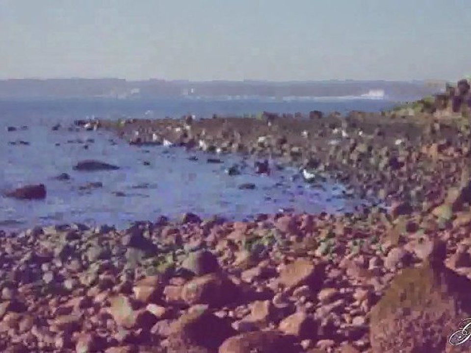 ГЕОРГИ МИНЧЕВ  ТИШИНА