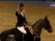Londres 2011/12/17 Olympia Horse Show CSI5*  The Santa Stakes Jump-Off 1,60 m Jumping