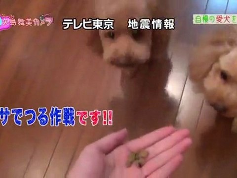 110421 HelloPro! TIME 01