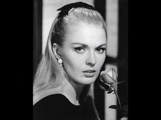 IN MEMORIAM  Vol.5  -New Version-