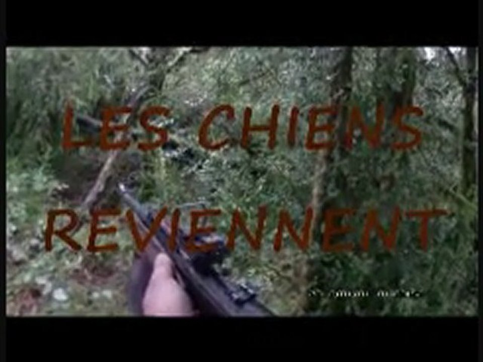 CHASSE AUX SANGLIERS DU 17.12.2011N°2