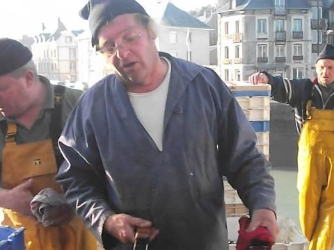 Franche rigolade avec les pêcheurs cauchois - Fête du Hareng