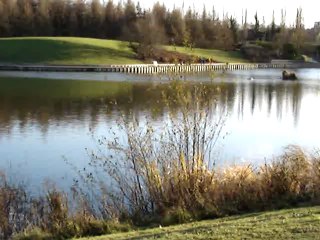 Aulnay-sous-Bois : Parc du Sausset  18 décembre 2011