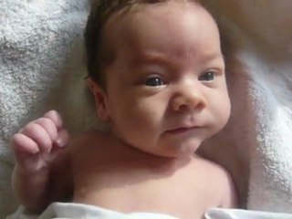 Pierre 7ème semaine