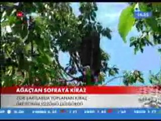 Türkiye Ajansı - 06.07.2010
