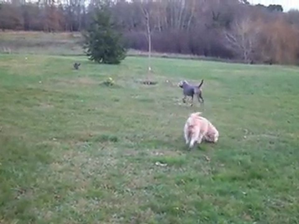 LES AMIS DE BERNADETTE (SAM_0010)