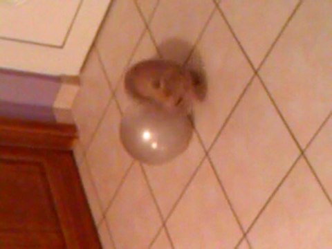 séance fitness de kirikou