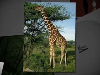 NITAKUWEPO AWARD FOR VOLUNTEERS