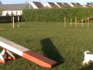 easy bascule entrainement du 17.12.2011