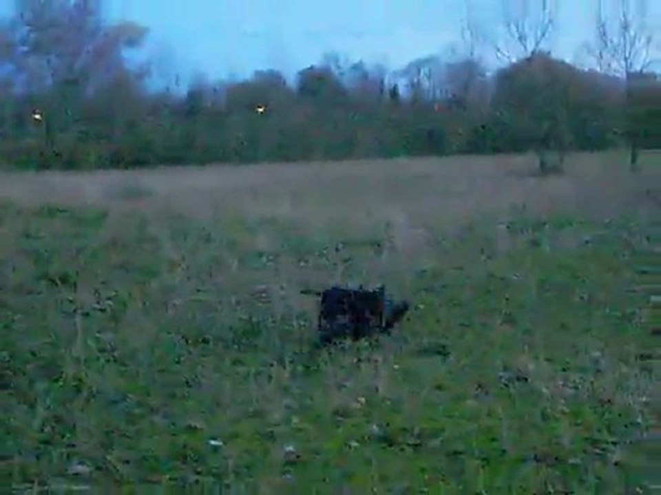 Photo 028