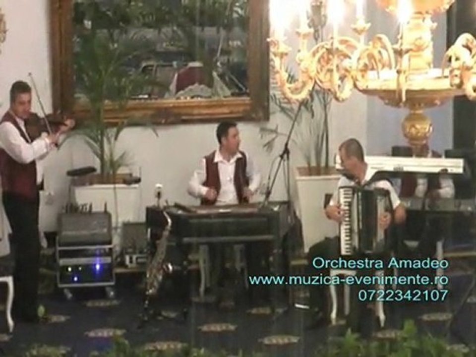 Orchestra Amadeo -  tambal si vioara