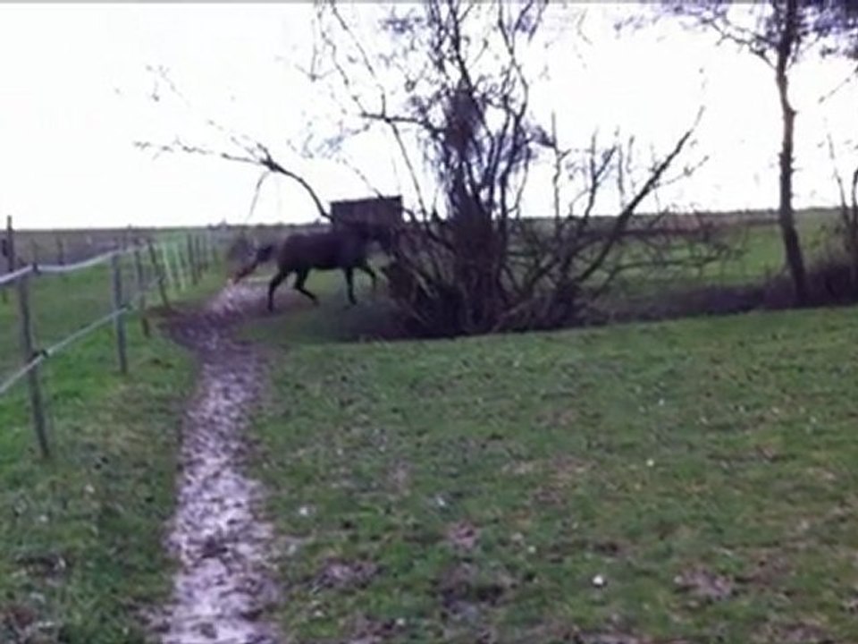 Vivaldie - 18 décembre 2011