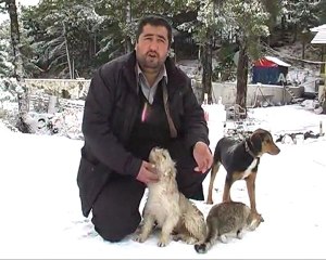 On5yirmi5.com Video - Annesi Ölen Kedilere Köpek Bakıyor