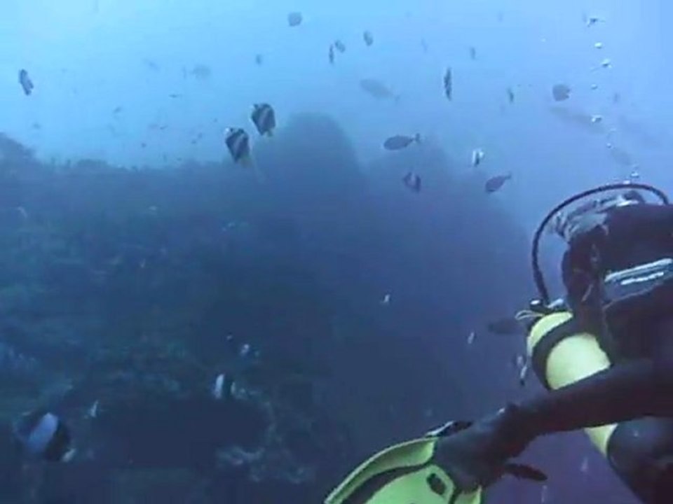 pointe au sel st leu , inoubliable!!!!!!