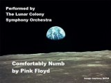 SYMPHONIC COMFORTABLY NUMB BY PINK FLOYD