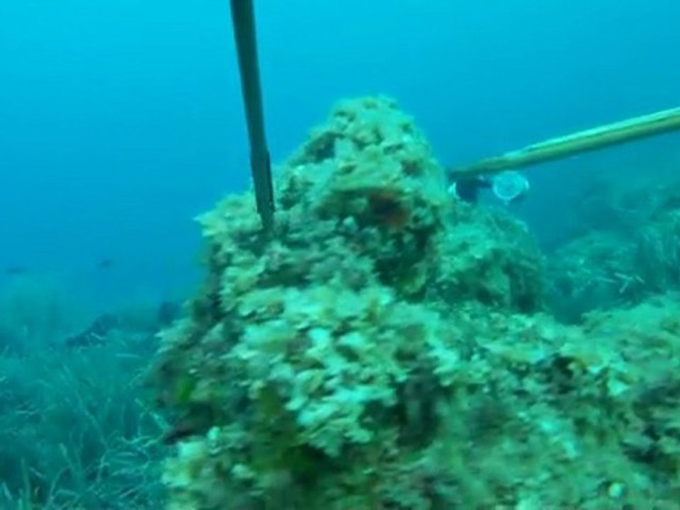 chasse sous marine a l'agachon