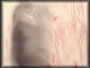 Dead Cowboy's Sluts NEW ALBUM TRAILER