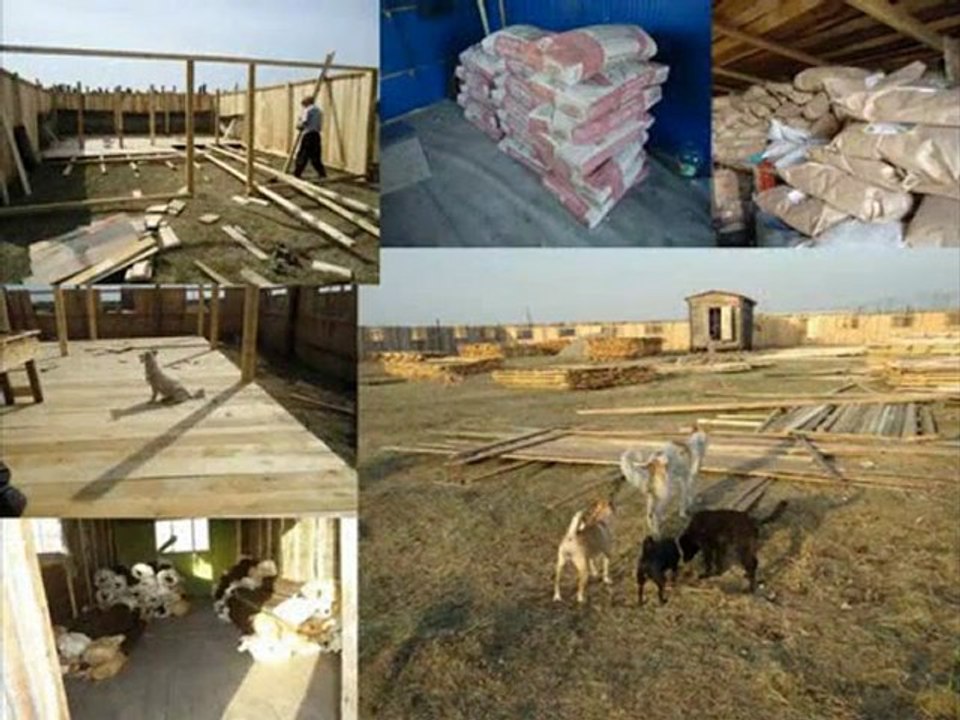 Svetlana Konovalova Tierheim Sibirien