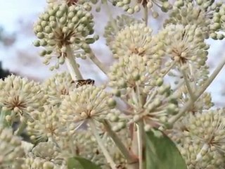 Make that call. It matters