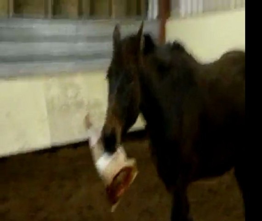 Hope & Tolkien Noël 2011