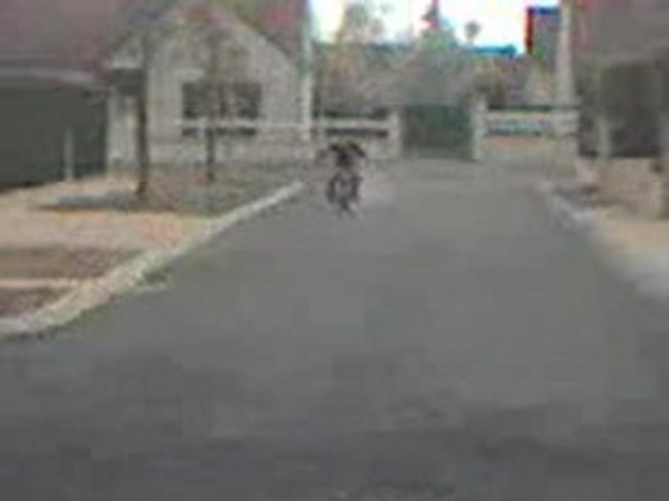 MiNi BiKer 41