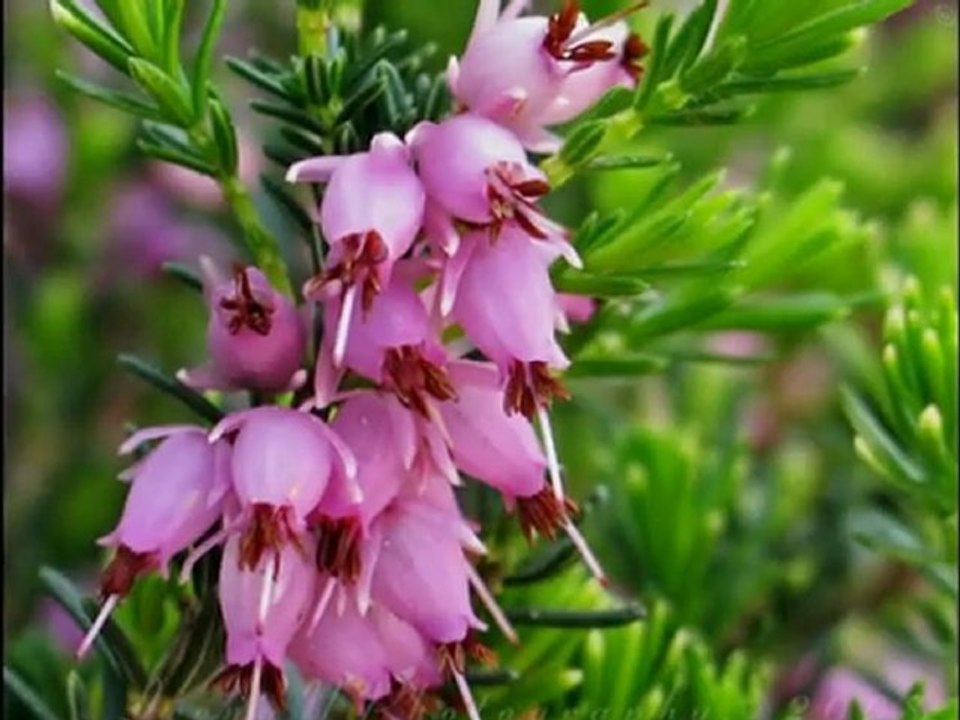 Mój pachnący Świat