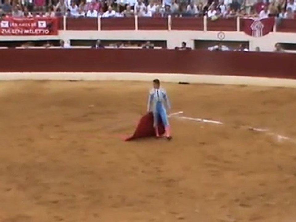 Concours de vic aout 2011 - toro de Granier