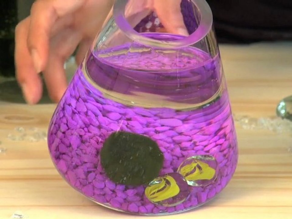 Marimo Aquariums video Dailymotion