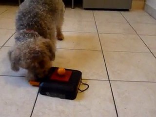 Kenzo jeu d'intelligence