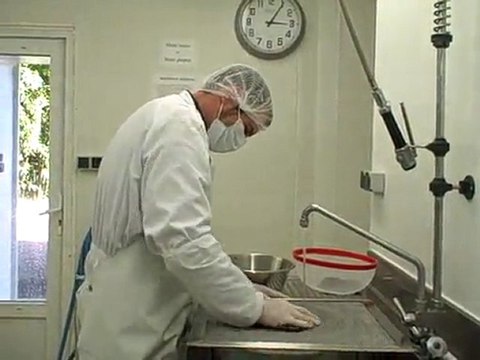 Préparation du caviar (c) Papilles et Pupilles 2011