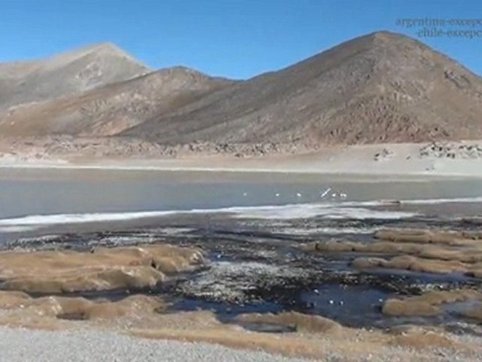Voyage en Argentine : Laguna Grande, Catamarca, Argentina