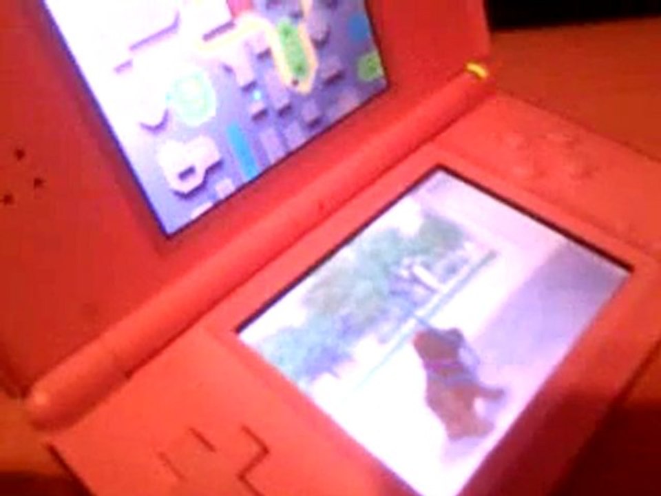 Luna Nintendogs Labrador.