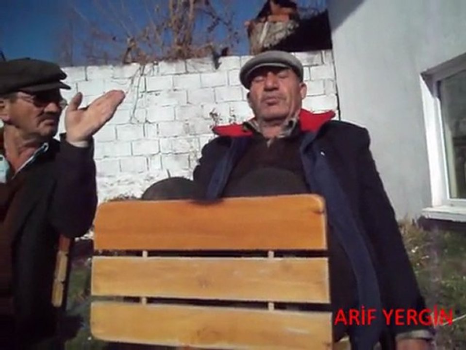 M. ALİ DAYI