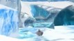 Happy Feet (PS2) - Mumble joue au MGV: le Manchot qui Glisse Vite.