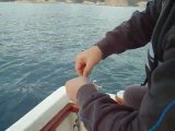 Antalya Balık avı özgür dil balığı