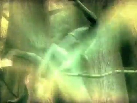 Harry Potter et l'Ordre du Phénix (PS3) - Deuxième trailer