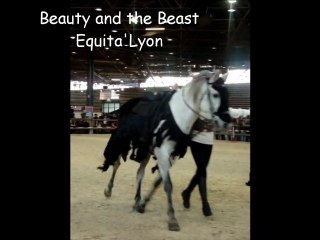 Pot pourris équestre et fufesque