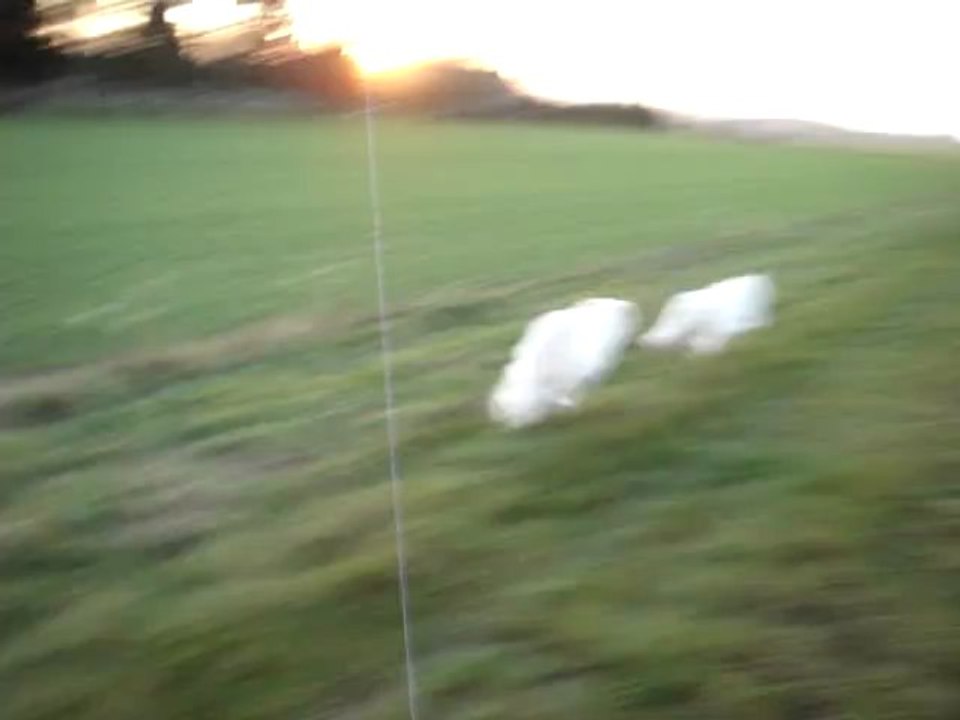 Marche au pied au ralenti