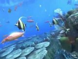 Aqua Vita (PS3) - Premier trailer
